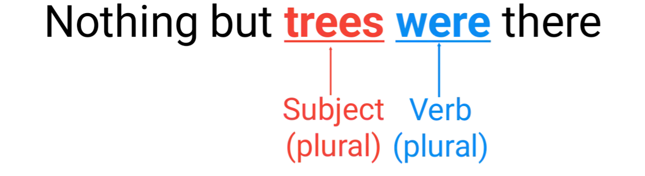 Subject-Verb Agreement Nothing but trees were there