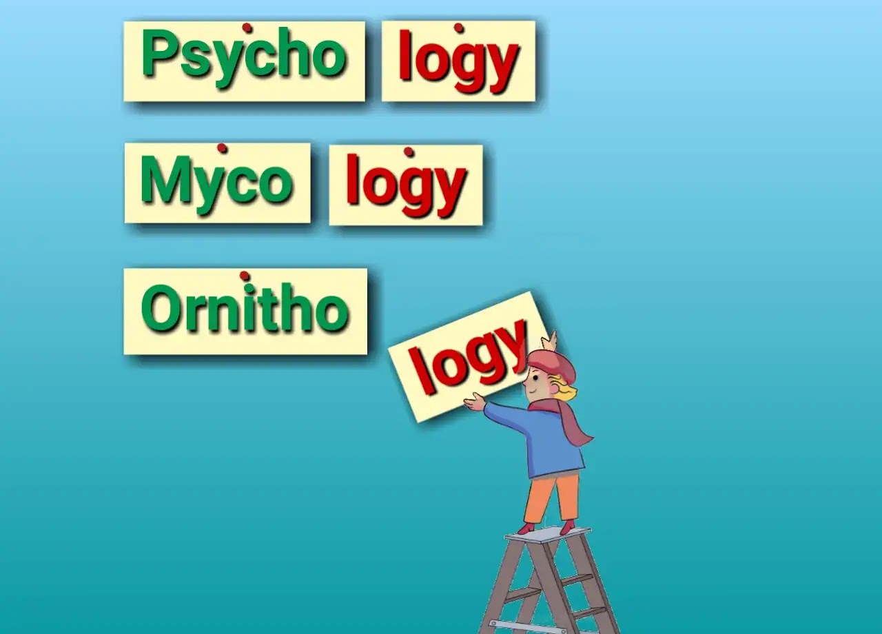 Logy - Words ending in logy A woman fixing some papers on which written is logy